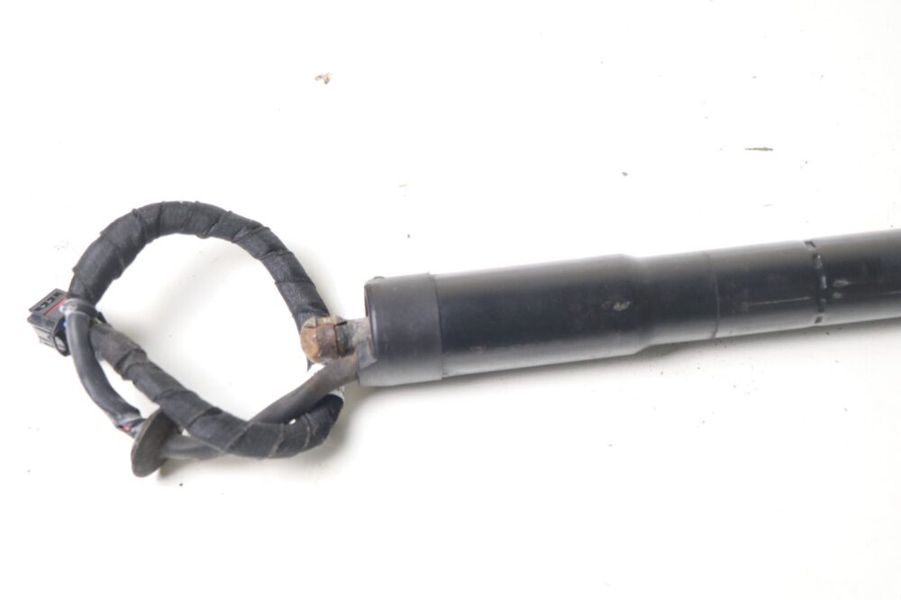 11-14 Porsche Cayenne 958 Left Or Right Trunk Lid Shock Lift Support Strut OEM