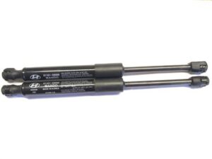2020-2025 Hyundai Palisade Pair Of Hood Lift Support Gas Strut OEM 81161-s8000